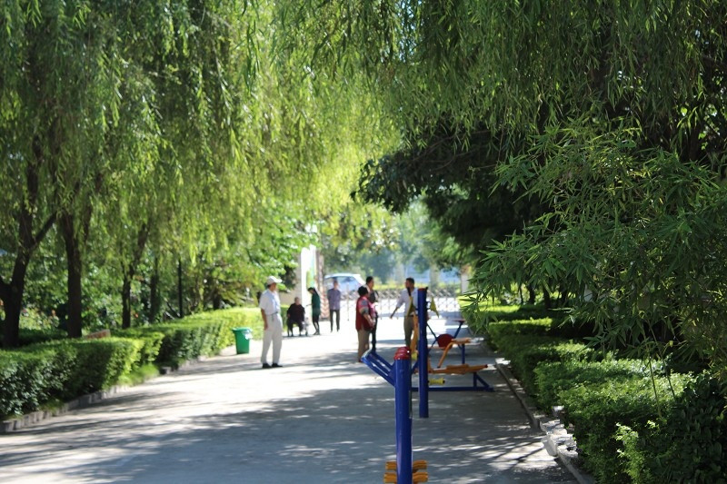 新鄉市?？抵行酿B老院