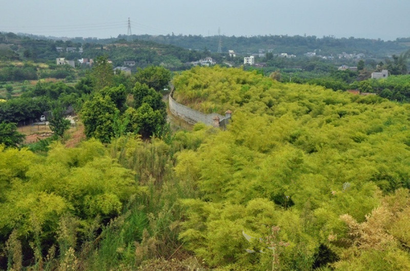 璧山區丁家養老院