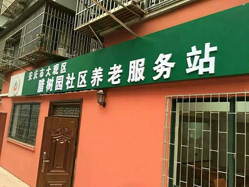 安慶市大觀區(qū)社區(qū)養(yǎng)老服務(wù)站臘樹園長者康護(hù)服務(wù)之家