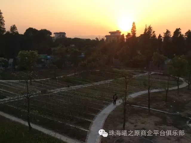 廣東省珠海市曦之原候鳥度假養生養老基地