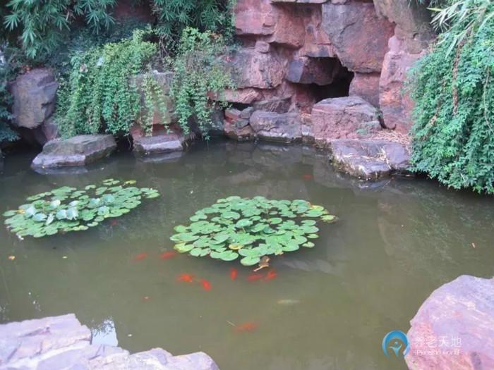 上?？禈犯ｐB老院