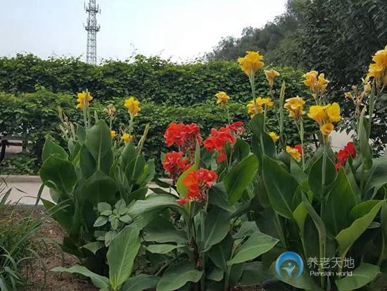 沈陽市沈北新區博大老年公寓