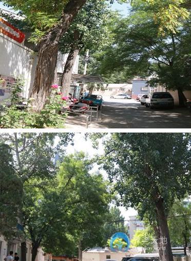 北京市朝陽區(qū)團結(jié)湖社區(qū)暮年頤樂園