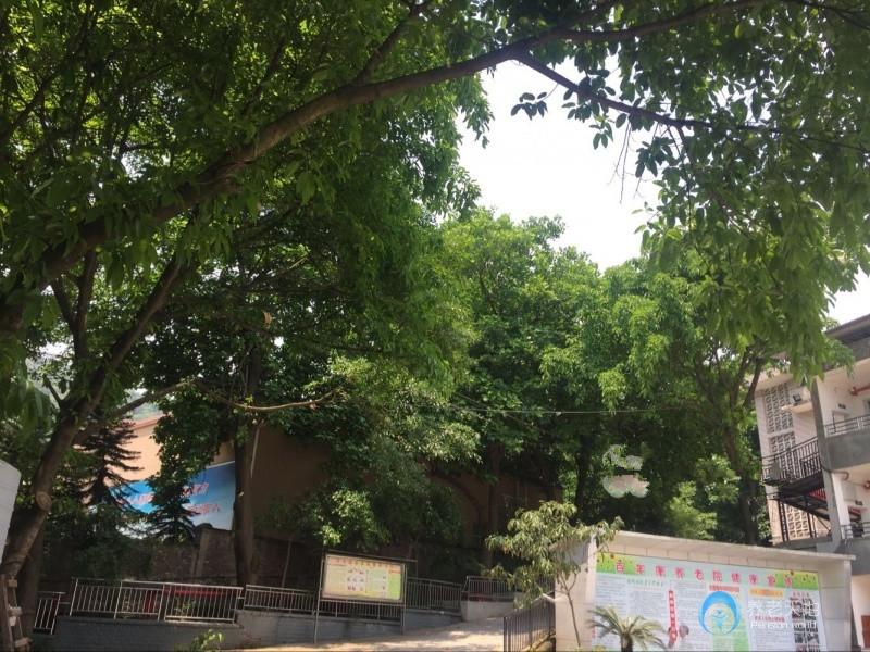 重慶市九龍坡區百年康養老院
