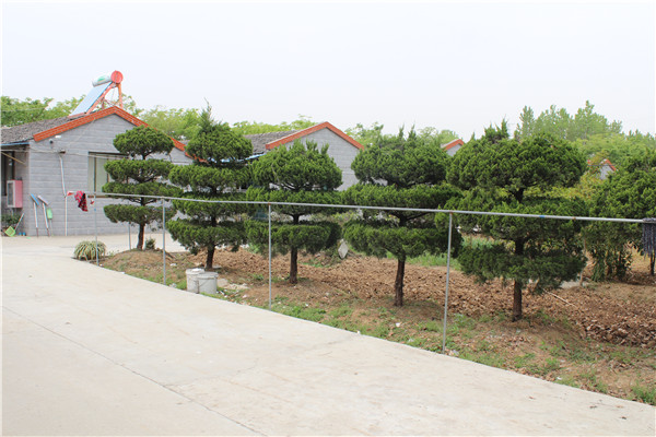 丹陽(yáng)市丹北鎮(zhèn)寶山趙家村老年關(guān)愛(ài)之家