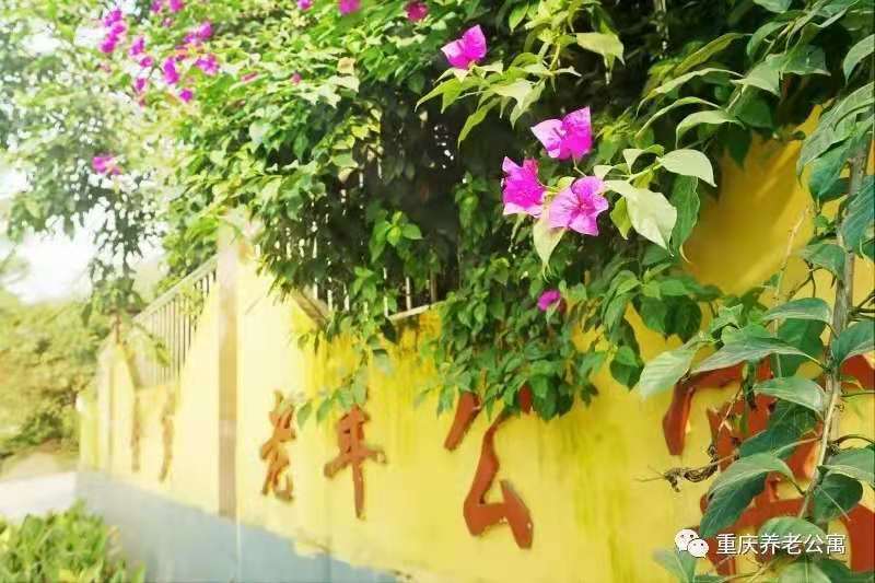 重慶市沙坪壩區金歲山莊老年公寓