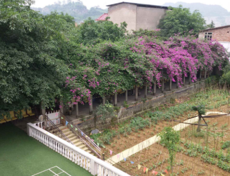 重慶市南岸區福源養老院2.png